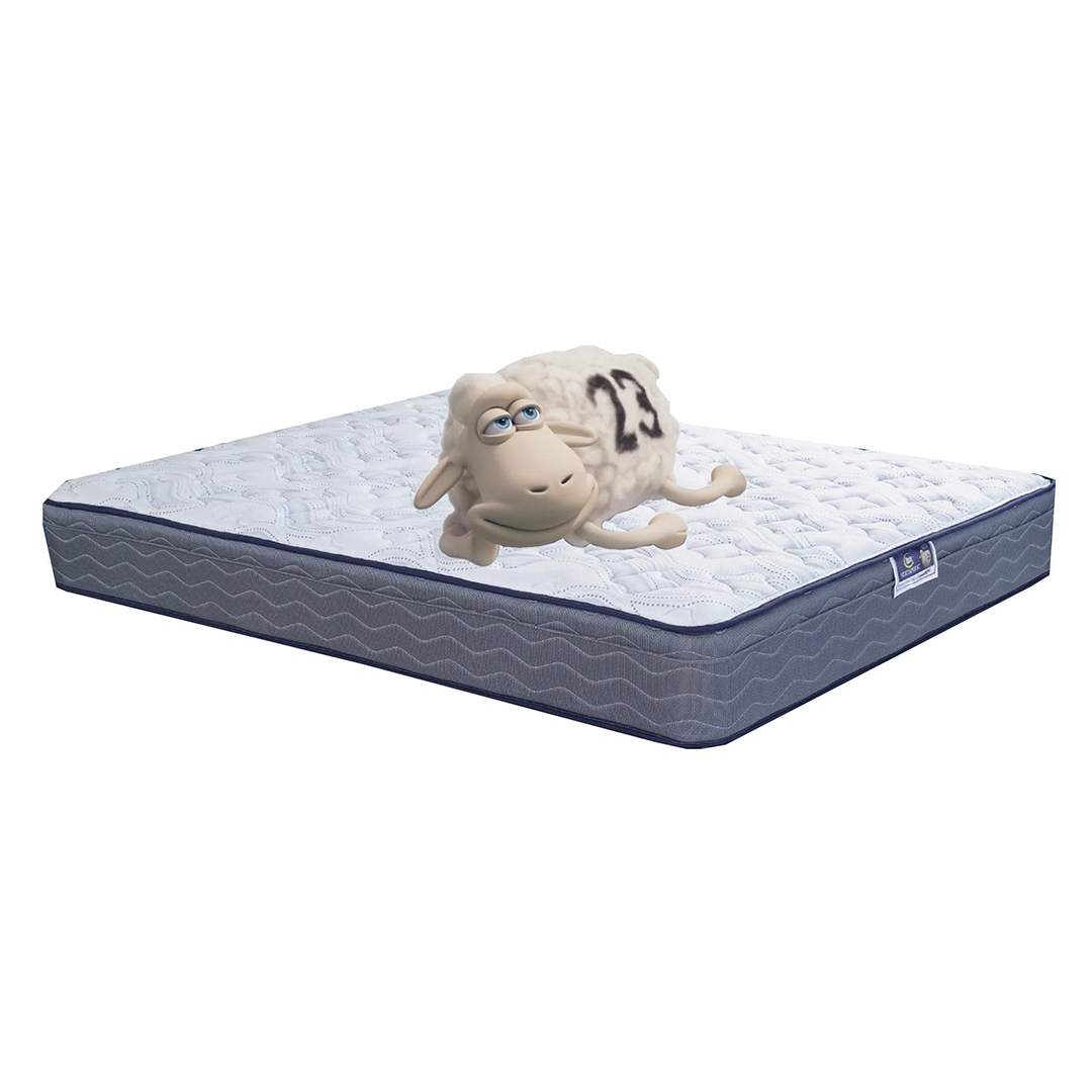 Spinal Zone Pillowtop Mattress