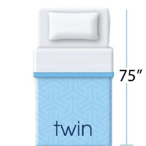 Sealy Essentials Holly Hills Firm II - Twin (39″ x 75″)