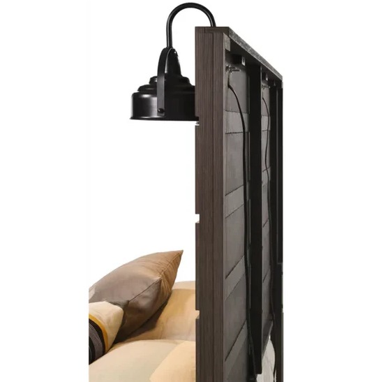 Carter Selection - Image 6